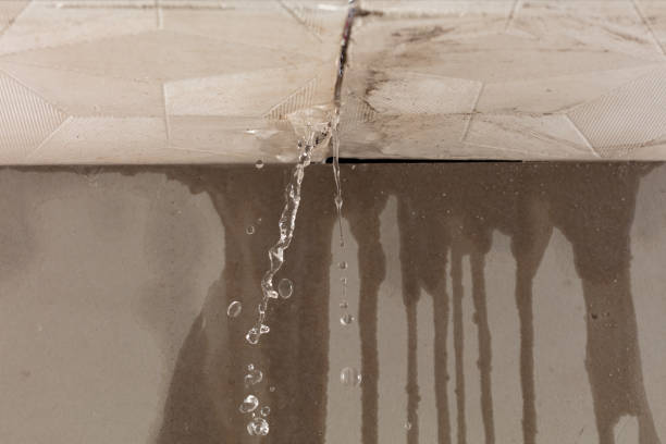 Professional Structural Drying technician working in Burbank, OH